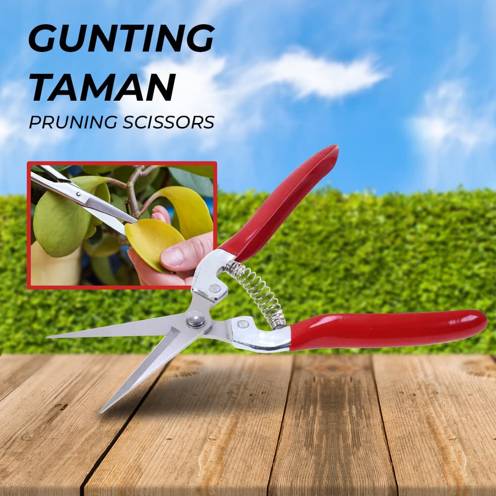 QIAOEN Gunting Tanaman Ranting Bunga Stainless Steel Pruning Scissors